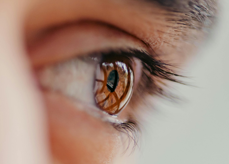 Why Annual Eye Tests Matter