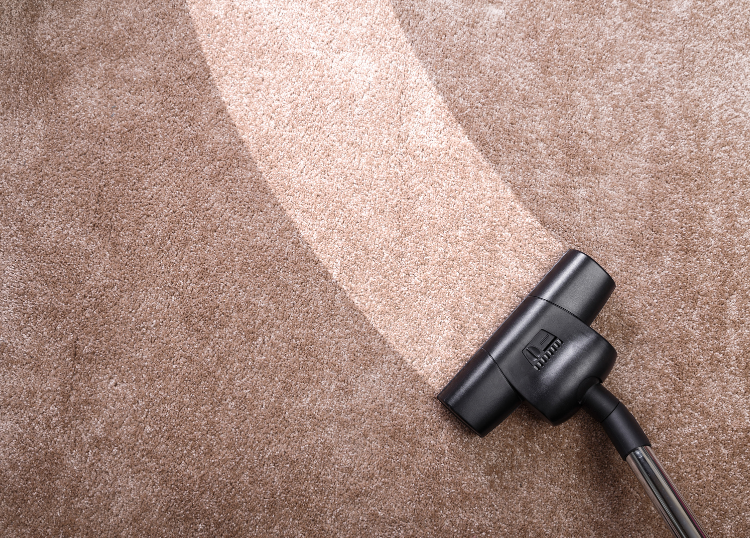 Carpet Cleaning: How Often Should You Do It?
