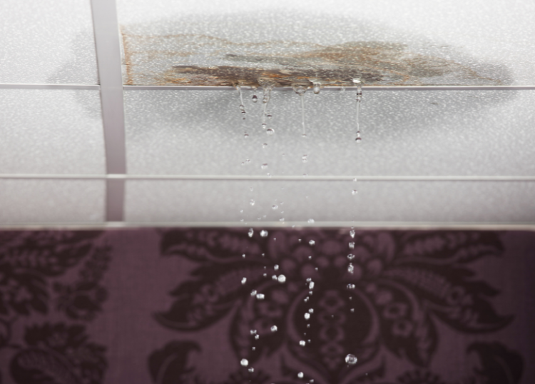 How to Spot Hidden Water Leaks