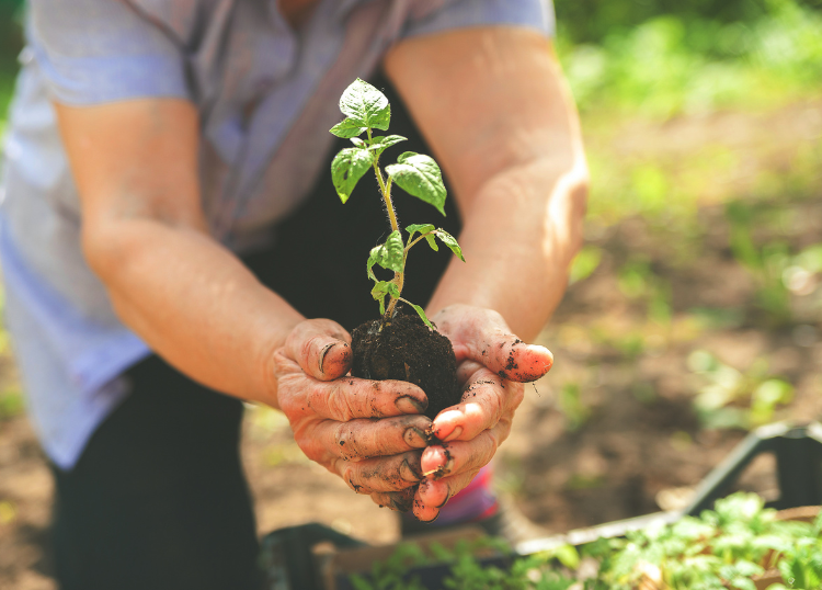 How to Compare Garden and Landscaping Services