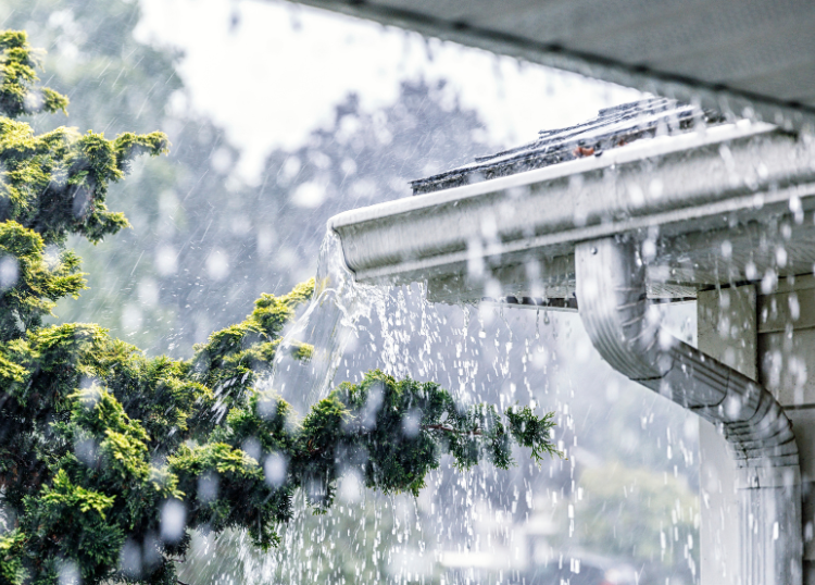 Preparing Your Home for Summer Storms