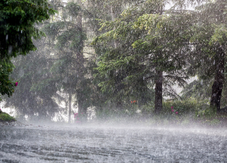 Planning Building Work Around the Summer Rainfall Season