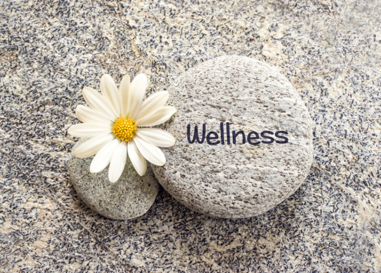 How to Find Mental-Wellness Support That Suits Your Needs