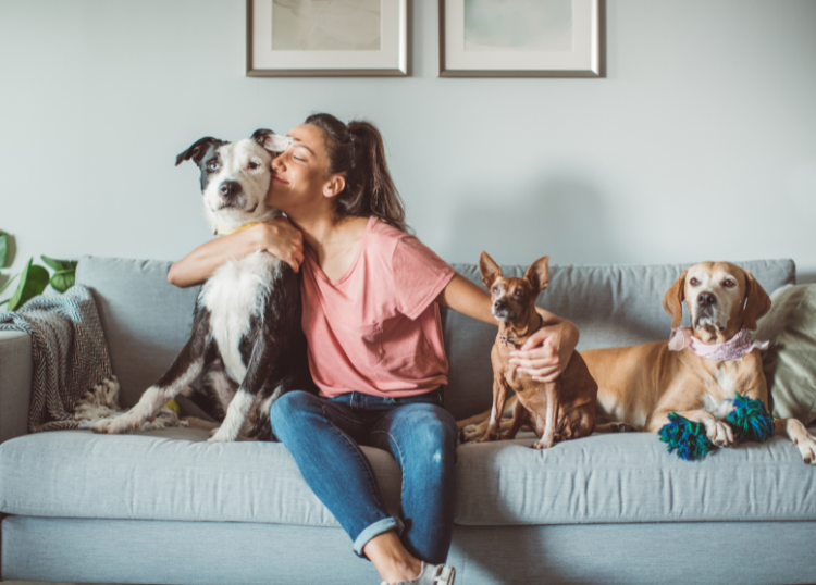 Questions to Ask Before Booking Holiday Pet Care